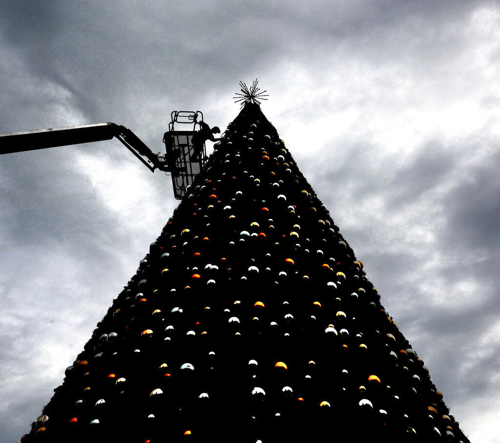 Florida Christmas Tree